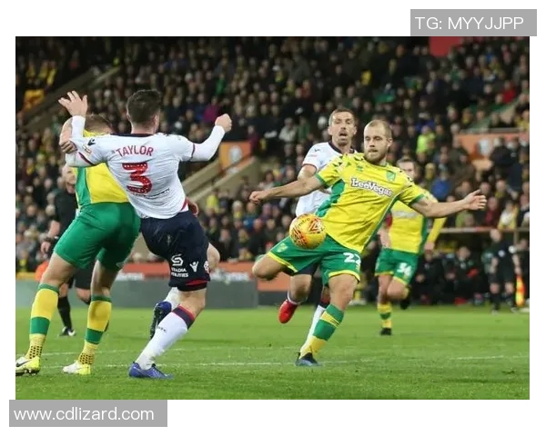 印度巴德兹对阵萨尔高卡足球直播精彩赛事全程回顾与分析 印度巴德兹对阵萨尔高卡足球直播精彩赛事全程回顾与分析