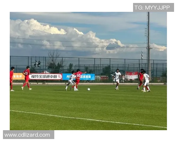 法国U19对阵乌克兰U19比赛分析及战术解读